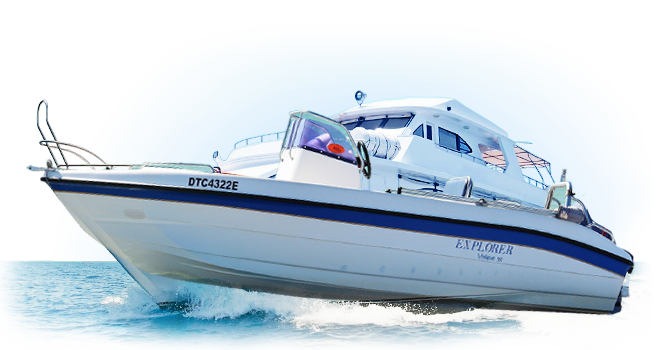 实实在在创收的云呼网页版在线轰炸机